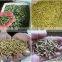 Chinese supplier alfalfa pellet making machine with good price