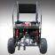 Teenager 110cc PGO buggy