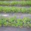 agricultural black plastic ground cover