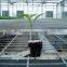 hot selling seedbed vegetable nursery greenhouse