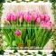 Real touch 12 heads pu romantic Red tulips bouquet flower,decoration artificial tulip flower