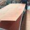 Good Quality Bintangor Plywood for Furniture and Packing