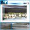 Vegetable washing machine potato carrot cleaning machinery price