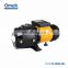 LQ/BA3 Series 1hp small peripheral water pump