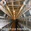 H type layer chicken cage for 50000 - 100000 birds layer /house
