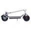 10 inch new fashion  folding electric kick scooter sport style