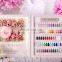 Queen Shining wholesale Xie hou nail uv gel kit polish gel