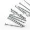 Hot Dipped Galvanized Flat Head Common Nails Iron Large Electric Galvanized Iron Spike Wire Steel Nails