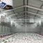 chicken house for poultry chicken farm in philippines