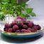 Sinocharm BRC A Approved IQF Red Whole Round Yangmei Bayberry Frozen Waxberry