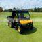 New Electric 6*4 Utility Vehicle Electric Two Motors 72V Turf Utility Golf Carts