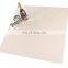 Non Slip Heat Insulation Hot Pink Polished Floor Porcelain Tiles 60x60