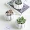 Home Decor Accessories Factory Direct Sale White Ceramic Flower Pot Stand Bonsai Pumpkin Shape Indoor Plant Pots