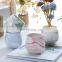 Wholesale Plant Nordic  Flower & Planters Pot Succulent Planter Unique Decor Small Decorative Ceramic Pots For Indoor Plants