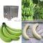 factory supply stainless steel green banana peeling machine/banana peeling machine/plantain peeler machine