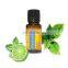 CHINA Market Lemon Essential Oil Distillation Equipment Rose Oil Extraction Machine