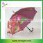 Straight Umbrella with Wooden Shaft and Handle