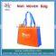 Promotional Laminated Non Woven Shopping Bag