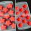 AN733 ANPHY 11 slots fruit shape safe silicone ice mold