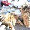 attachments for loader,excavator,bucket,fork,tree shearer,hammer,blade etc.