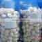 Shandong Origin 2016 new crop Fresh Garlic