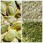 Chinese white pumpkin seeds kernels