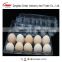 Disbosable Clamshell Blister plastic egg tray 6 holes