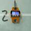 LCD Display 100kg 200kg Digital Hanging Scale