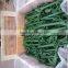 11mm chain tensioner Lashing chains