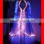 Lights LED Dance Costumes / Belly Dance Dress / Luminous Skirt