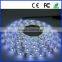 smd3528 30leds/m 12v dc 5m/roll non-waterproof 12w red white rgb blue yellow flexible chrismas led strip light luces led tiras