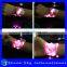 Hot Selling Newest Led Flashing Gift Flashing Shoelaces Factory