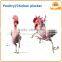 Poultry goose plucking machine for halal chicken feather removing machine