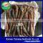 Frozen Illex Argentinus Squid Whole 100g Down
