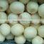 2015 vacuum bag peeled onion for sale from Shandong