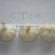 china fresh white garlic in bag or carton