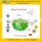 GMP Factory Supply High Quality Green Tea Extract