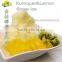 Snow Ice Supplier Taiwan