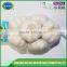 Fresh pure white garlic