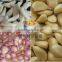 powerful electrical shallot and garlic peeling machine