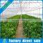 New Style Low Cost Agricultural Multi Span Greenhouse
