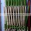 WY-180 Decorative Artificial Plastic Expanding Bamboo Fence For Gardens