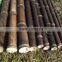 WY-157 Natural yellow raw tonkin bamboo poles for large supply