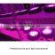 China Factory Online Shop UFO Led Grow Light For Garden