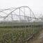 Polythene Film Solar Greenhouse For Vegetables