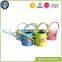 Plant galvanized colour metal garden watering can