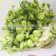 factory direct exquisite cut flower lisianthus fresh eustoma from China