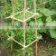 Thick walled cheap tonkin bamboo poles wholesale for plants