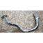 BRAKE PADEL FOR COLOMBIA, MEXICO, PERU, BRAZIL, IRAN, FRANCE, GREECE, ITALY