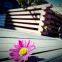 WPC Garden Decking